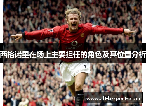 西格诺里在场上主要担任的角色及其位置分析